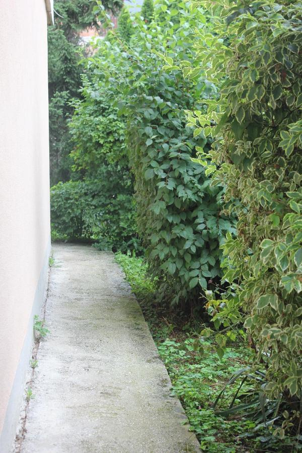 Vila Kike * Sarajevo